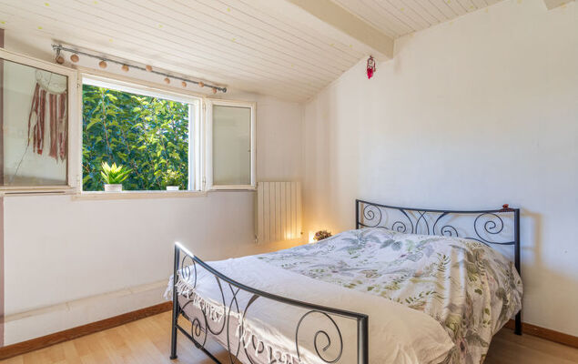 Palmeraie - Photo 14