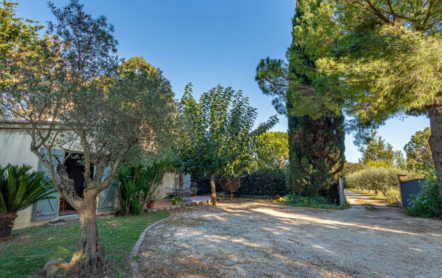 Palmeraie - Photo 21