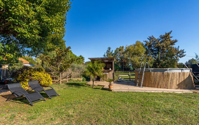 Palmeraie - Photo 24