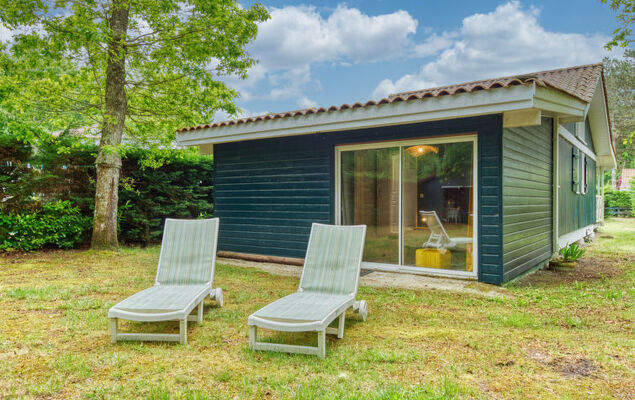 Domaine de Pitrot - Photo 19