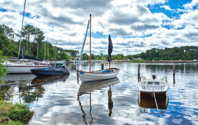 Domaine de Pitrot - Photo 24