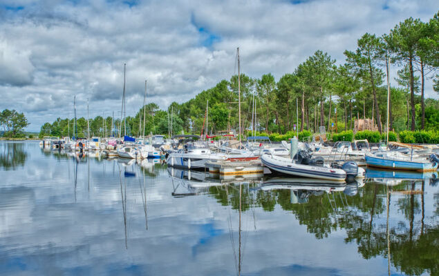 Domaine de Pitrot - Photo 27