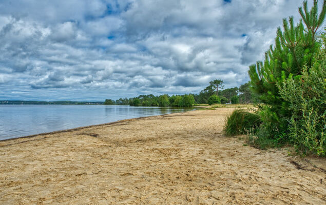 Domaine de Pitrot - Photo 38