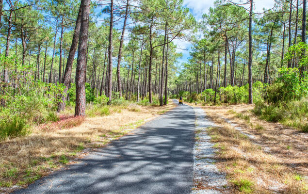 Domaine de Pitrot - Photo 42