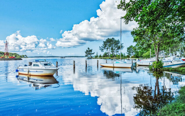 Domaine de Pitrot - Photo 48