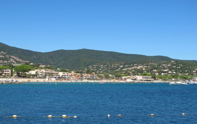 151 Bay Street - Photo 24