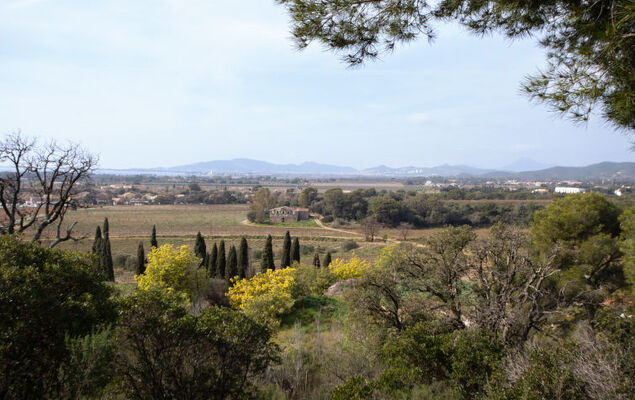 Lou Clapas - Photo 26