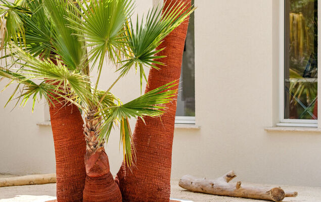 La vie la 2 - Photo 28