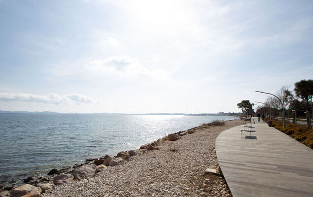 Port de La Gavine - Photo 18