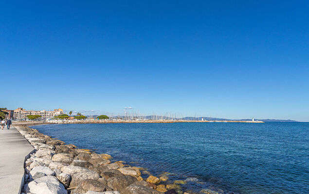 Port de La Gavine - Photo 23